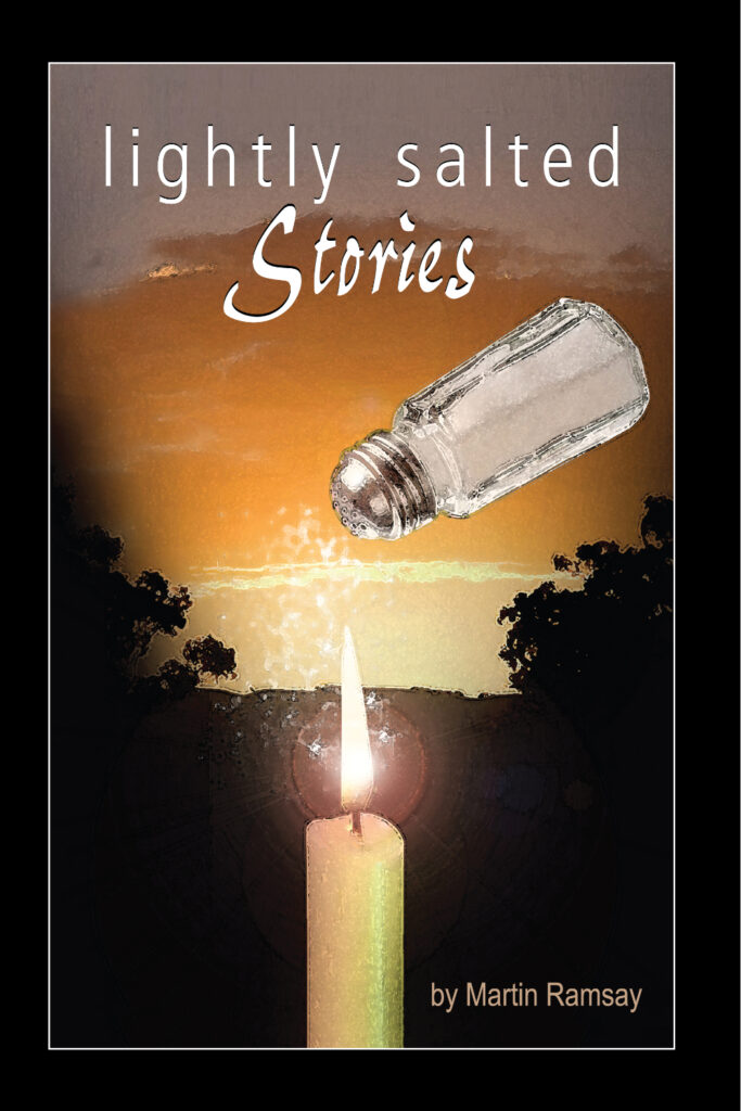 Cover of the book Lightly Salted Stories.