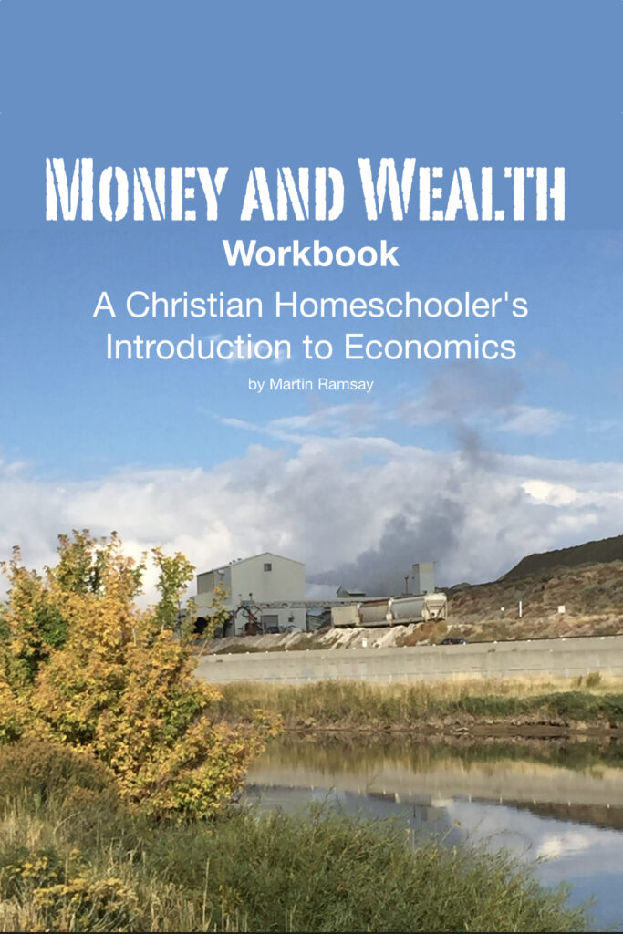 Cover of the book Money and Wealth Workbook